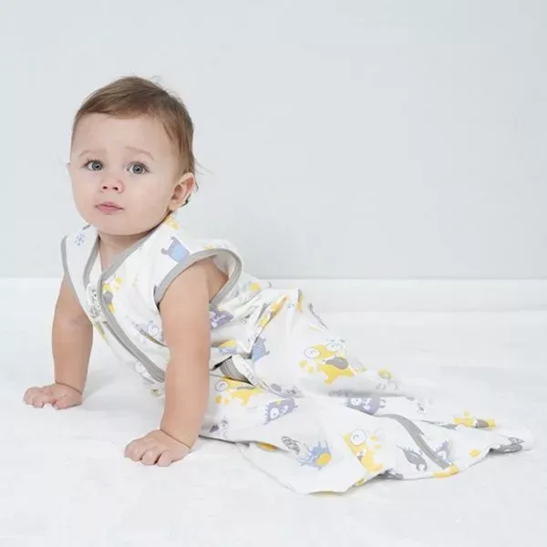 baby sleeping bag, newborn sleeping bag, baby sleep sack, 0.5 tog sleeping bag, infant sleeping bag, infant wearable blanket